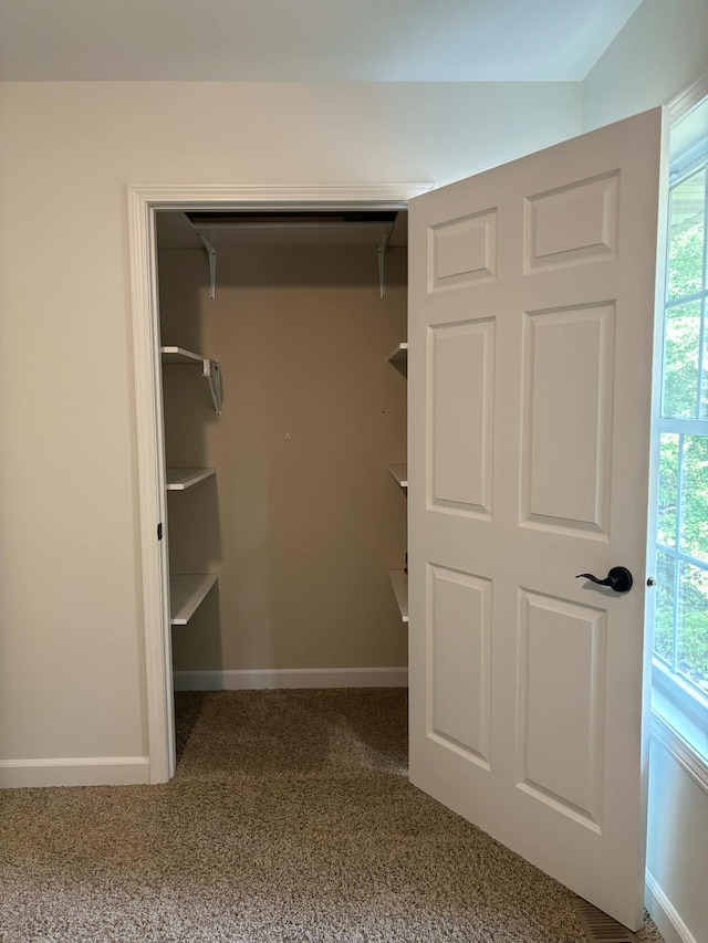 view of closet