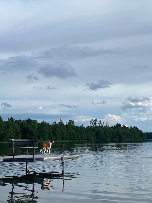 water view with a wooded view