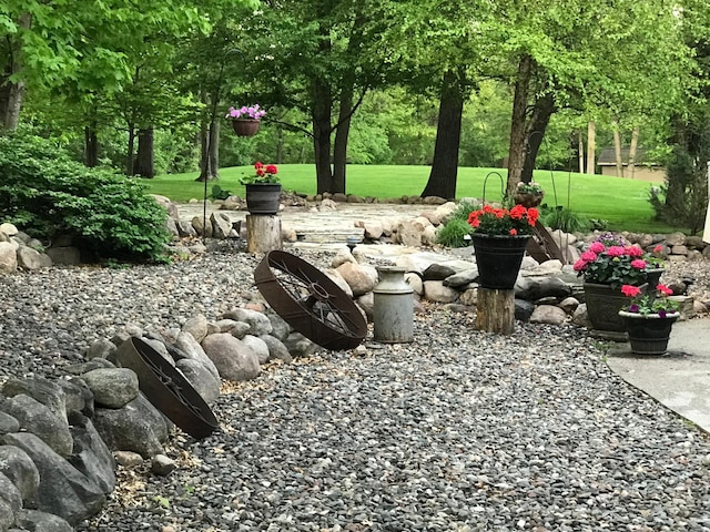 5492 Garden Hills Dr, Saint Augusta, MN 56301 - view of yard
