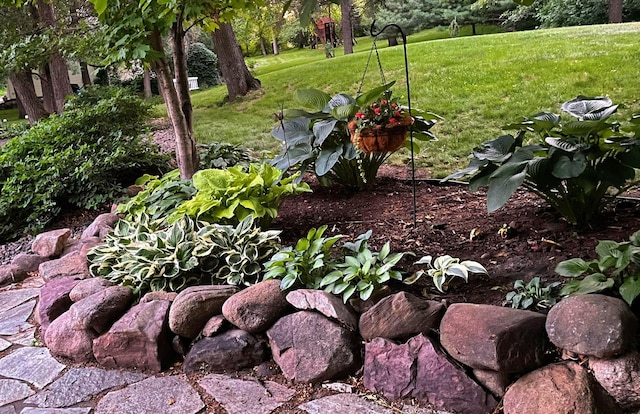 5492 Garden Hills Dr, Saint Augusta, MN 56301 - view of yard