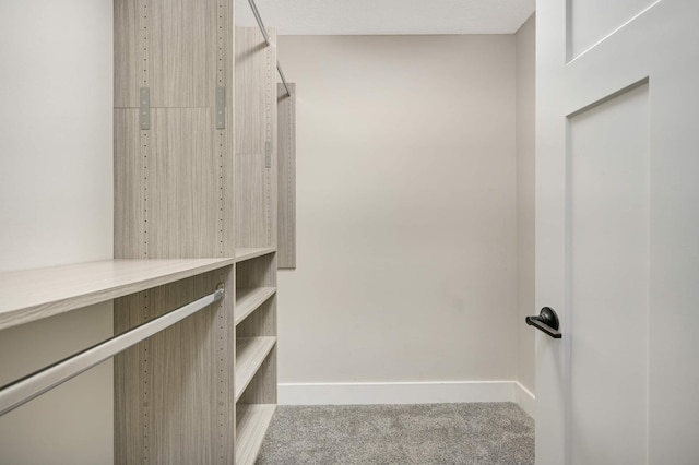 walk in closet with carpet
