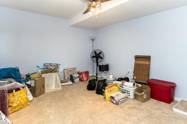 storage featuring ceiling fan