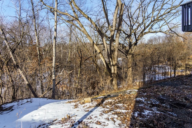 yard covered in snow featuring a wooded view