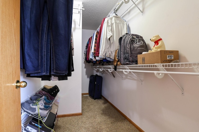 spacious closet with carpet