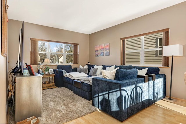 living area featuring wood finished floors