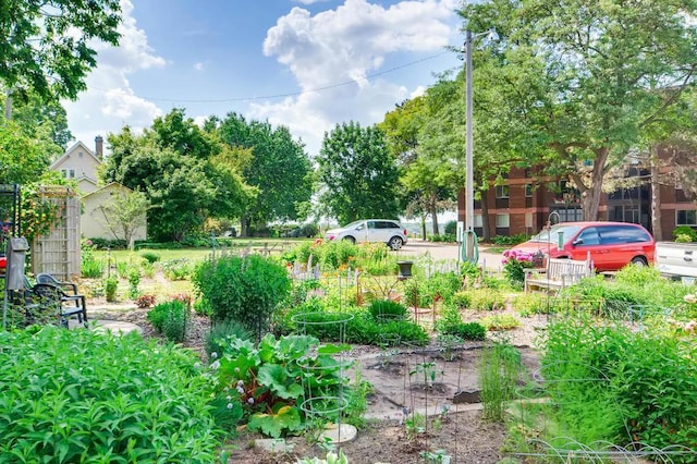 view of yard with a vegetable garden