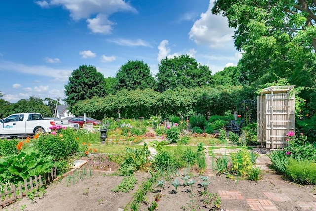 view of yard with fence and a garden