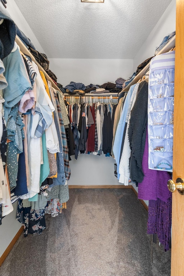 walk in closet featuring carpet floors