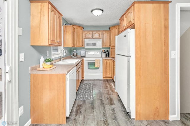 kitchen with a sink, a textured ceiling, white appliances, light wood-style floors, and light countertops