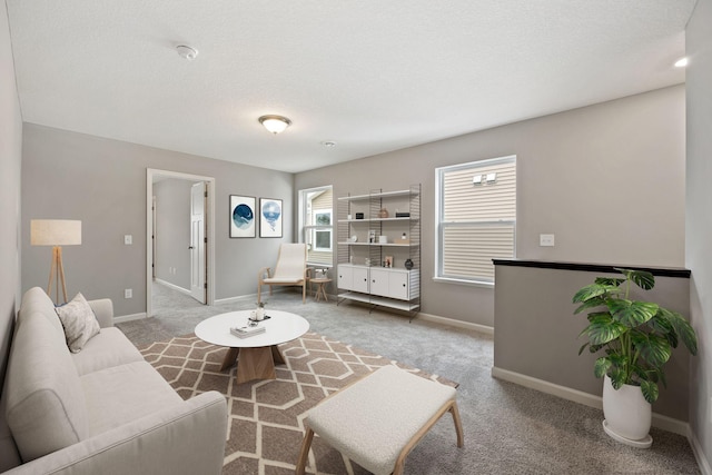 carpeted living area featuring a textured ceiling and baseboards