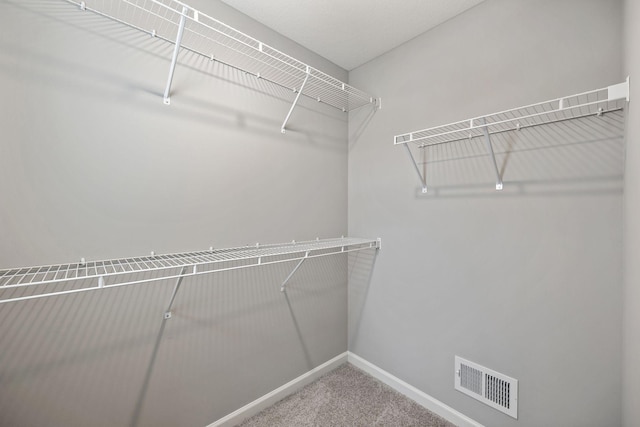 walk in closet with visible vents and carpet