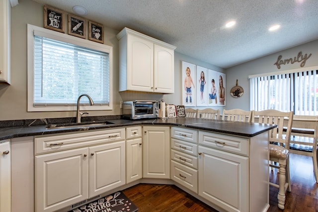 kitchen with dark wood-style floors, lofted ceiling, a toaster, a sink, and white cabinets