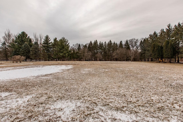 view of local wilderness with a wooded view