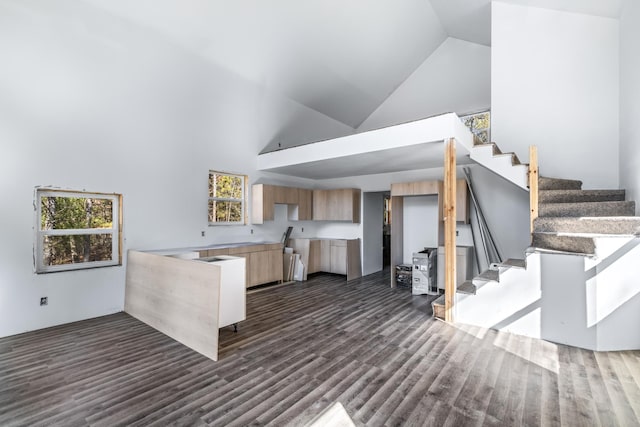 kitchen with dark wood-type flooring, high vaulted ceiling, modern cabinets, and light brown cabinets