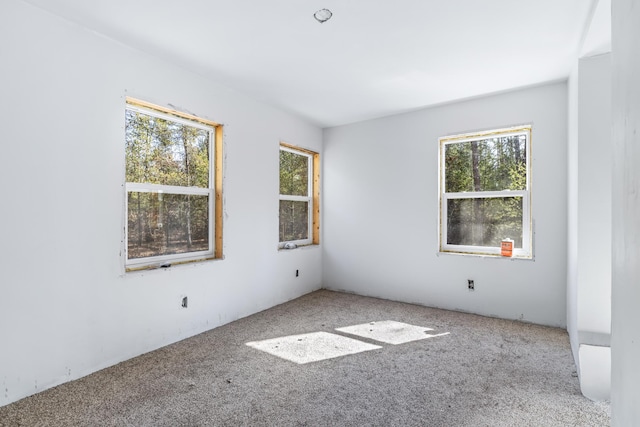 carpeted spare room with a healthy amount of sunlight