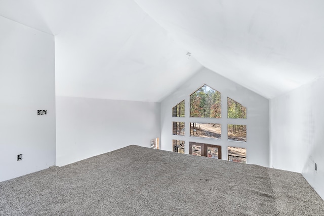 interior space with vaulted ceiling and carpet floors