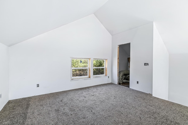 additional living space with vaulted ceiling and carpet floors