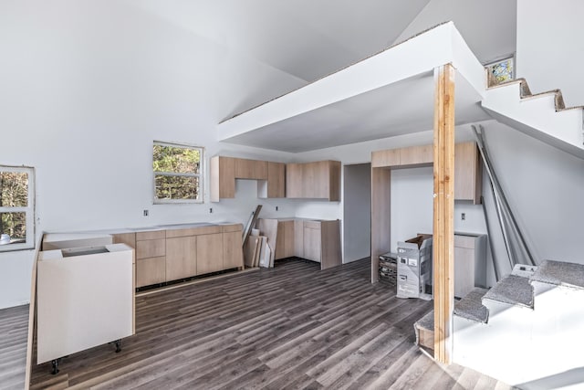 kitchen with light brown cabinets, dark wood-style flooring, a high ceiling, and radiator