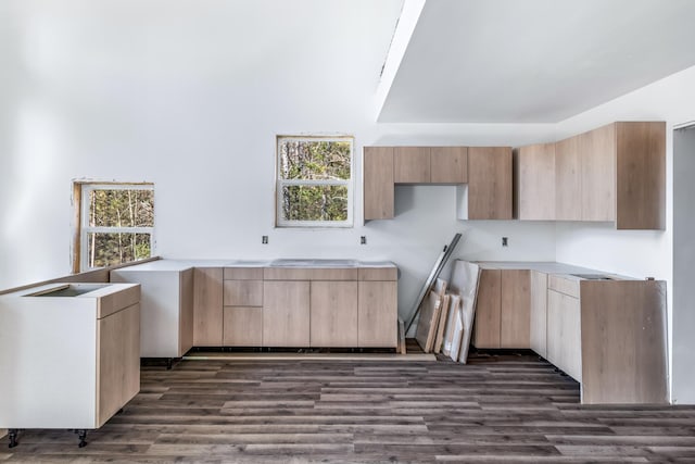 kitchen with light brown cabinets, modern cabinets, and dark wood finished floors