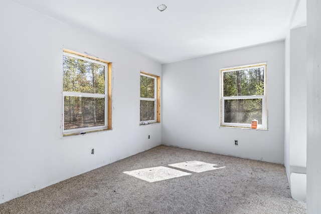 carpeted spare room featuring a healthy amount of sunlight