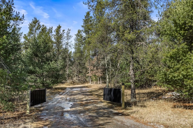 view of street featuring a forest view