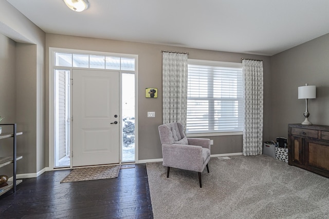 foyer with baseboards and a wealth of natural light