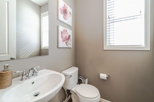 bathroom featuring toilet and a sink