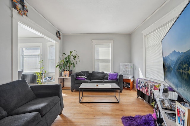 living room with plenty of natural light, ornamental molding, and wood-type flooring