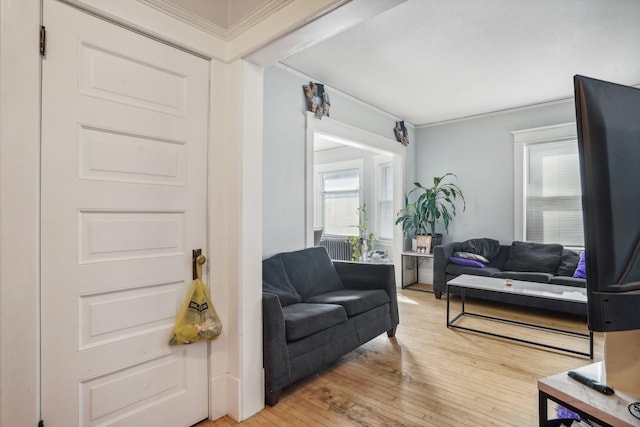 living room with light wood-style floors