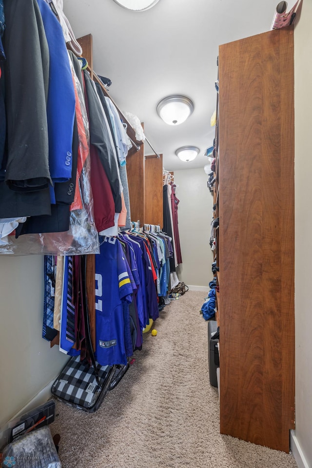 walk in closet with carpet flooring