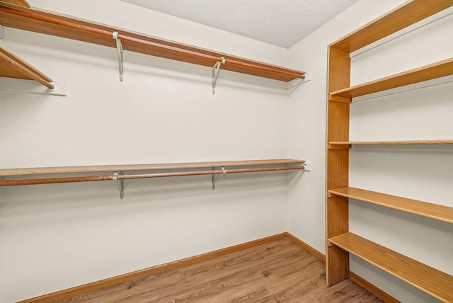 walk in closet featuring wood finished floors