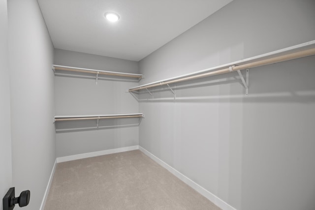 spacious closet with carpet flooring