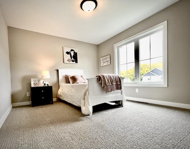 9551 230th St E, Lakeville, MN 55044 - carpeted bedroom featuring baseboards