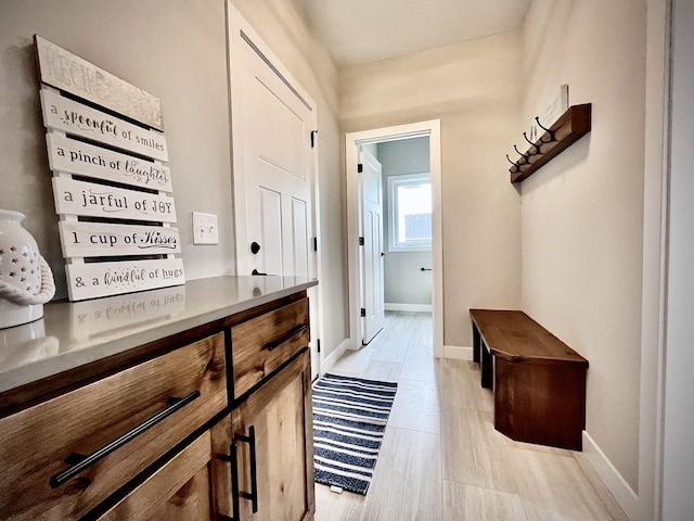 9551 230th St E, Lakeville, MN 55044 - hall with baseboards