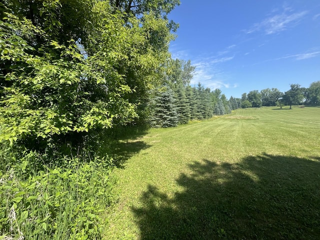 9551 230th St E, Lakeville, MN 55044 - view of green lawn