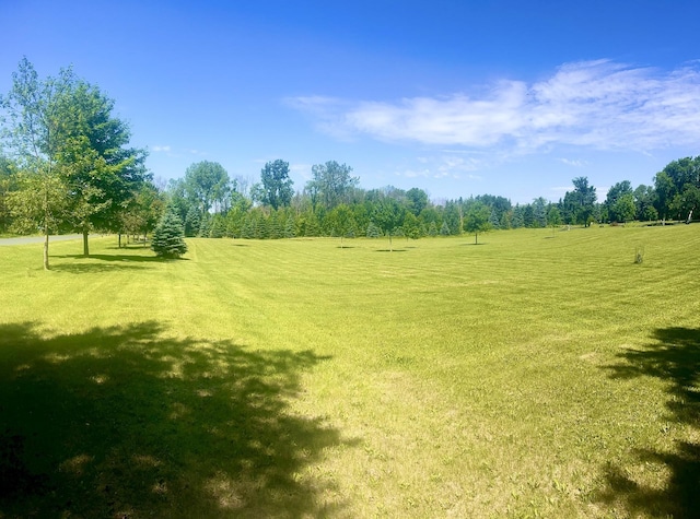 9551 230th St E, Lakeville, MN 55044 - view of grassy yard