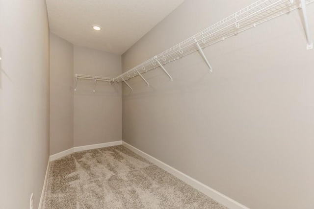 spacious closet featuring carpet floors