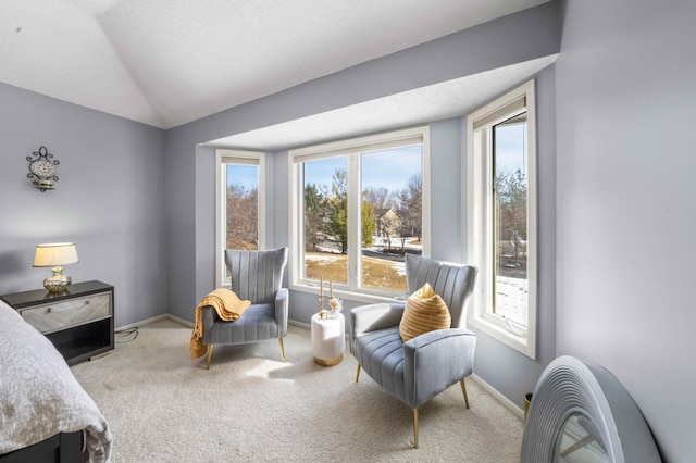 carpeted bedroom with vaulted ceiling and baseboards