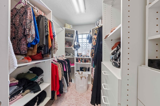 spacious closet with carpet