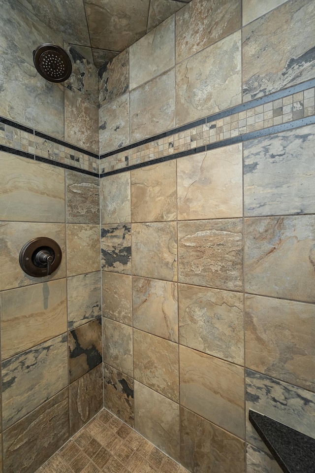 424 11th St NW, Byron, MN 55920 - room details with tiled shower