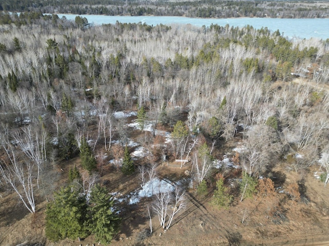 Listing photo 2 for TBD1 Frustration Ln, Park Rapids MN 56470