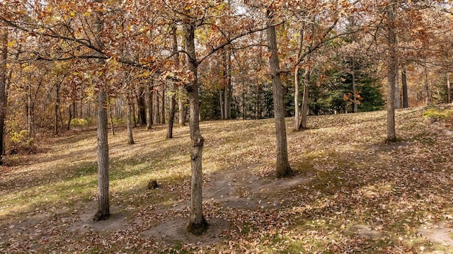 view of landscape featuring a view of trees