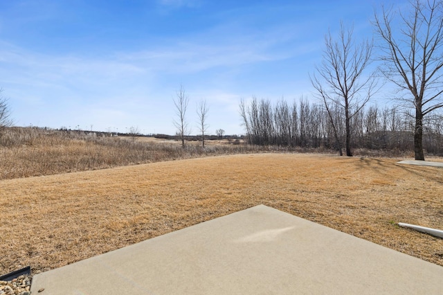 view of yard featuring a patio area