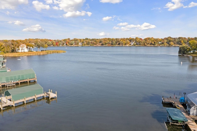 dock area with a water view