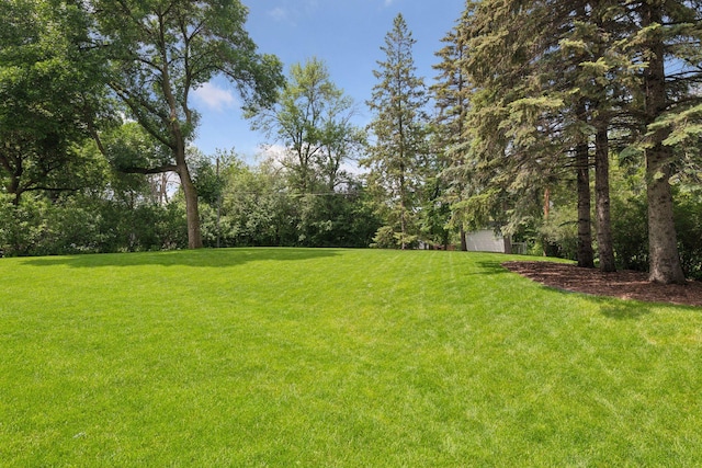 view of yard featuring a garage