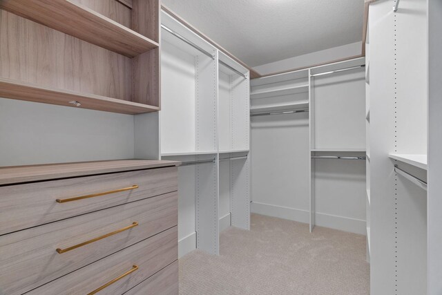 spacious closet with light colored carpet