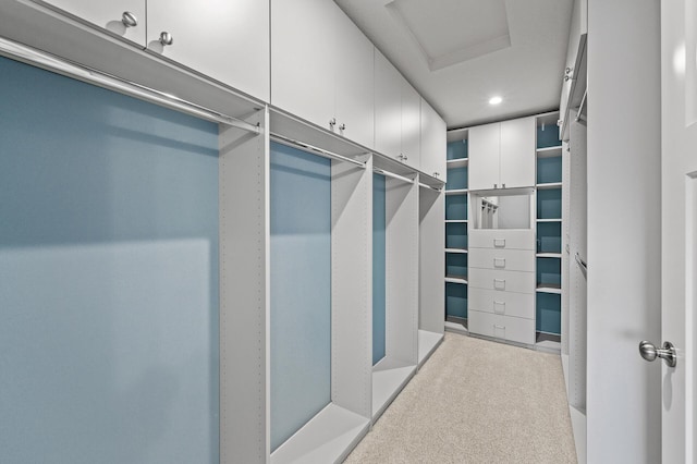 spacious closet with attic access