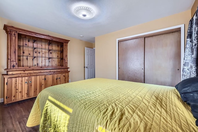 bedroom with dark wood finished floors and a closet