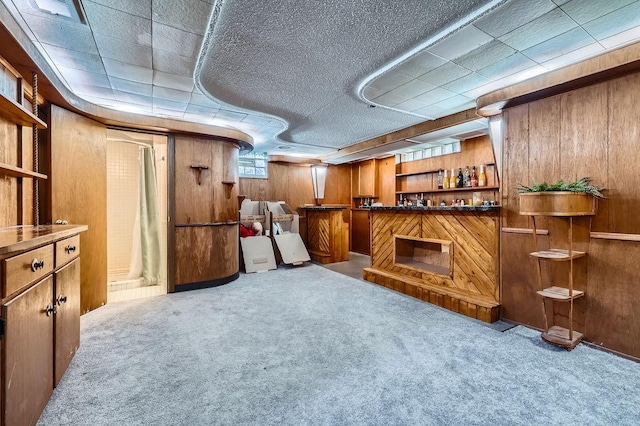 bar featuring carpet floors, wooden walls, and a dry bar