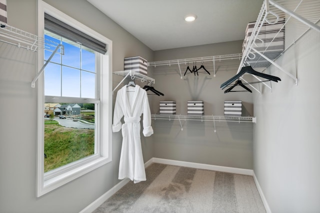 spacious closet featuring carpet floors